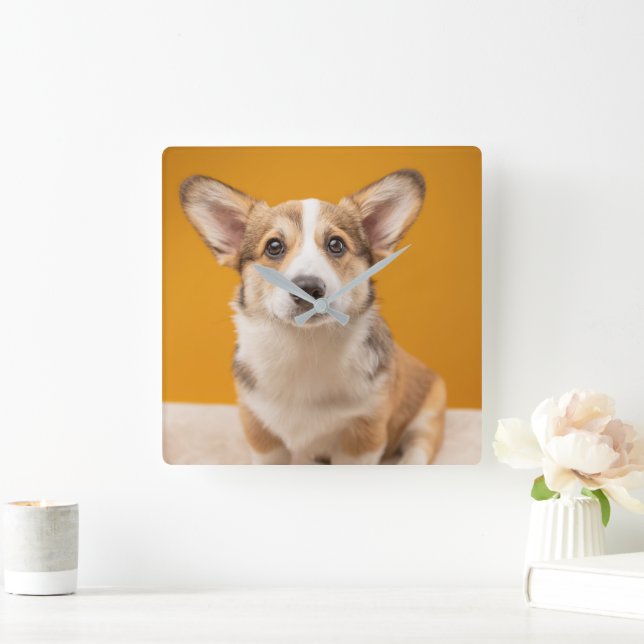 Reloj Cuadrado Animales de bebé más afectados | Retrato de Corgi  (Hogar)