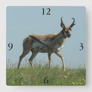 Reloj Cuadrado Antelope A10 Pronghorn Caminando Tres Flores Silve