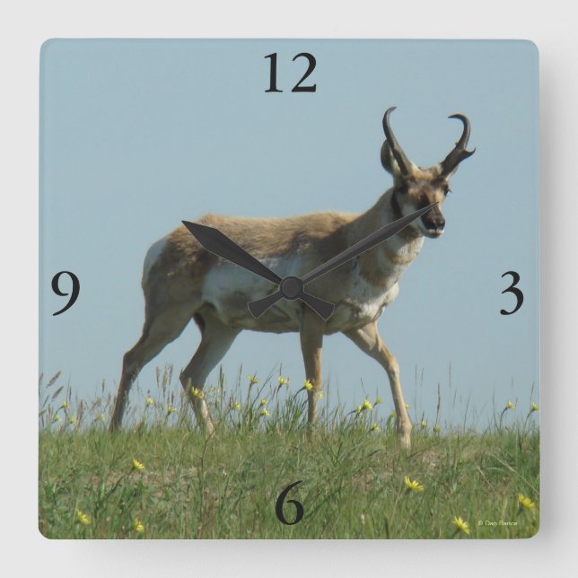 Reloj Cuadrado Antelope A10 Pronghorn Caminando Tres Flores Silve (Anverso)