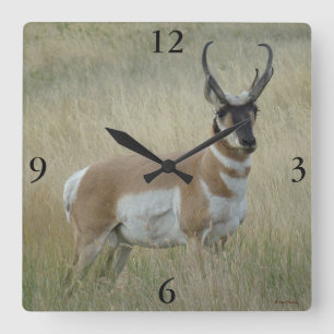 Reloj Cuadrado Antelope Pronghorn Big Buck