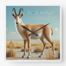 Antelope saiga en el desierto