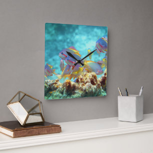 Reloj Cuadrado Anthias - Colorida escuela de pescado en la barrer