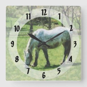 Reloj Cuadrado Appaloosa en la pastura