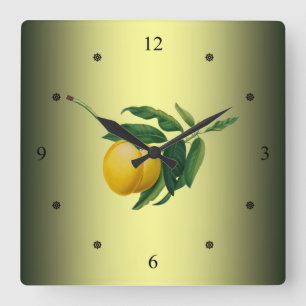 Reloj Cuadrado Apricot ~ Giorgio Gallesio ~ Fruta Botánica ~