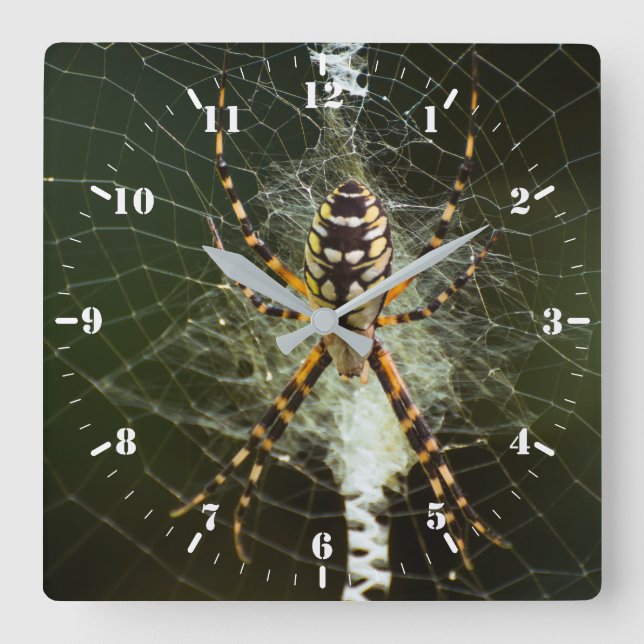 Reloj Cuadrado Araña de jardín negra y amarilla (Anverso)
