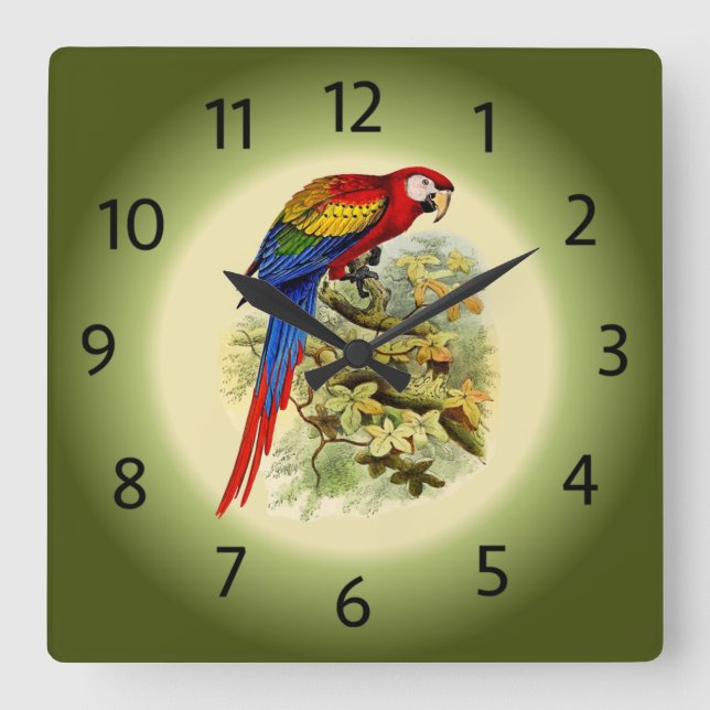 Reloj Cuadrado Arara macao - Ara macao - Scarlet Macaw - ~ (Anverso)