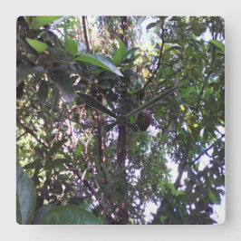 Reloj Cuadrado Árbol de aguacate