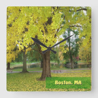 Árbol de gingko amarillo - Jardín público de Bosto