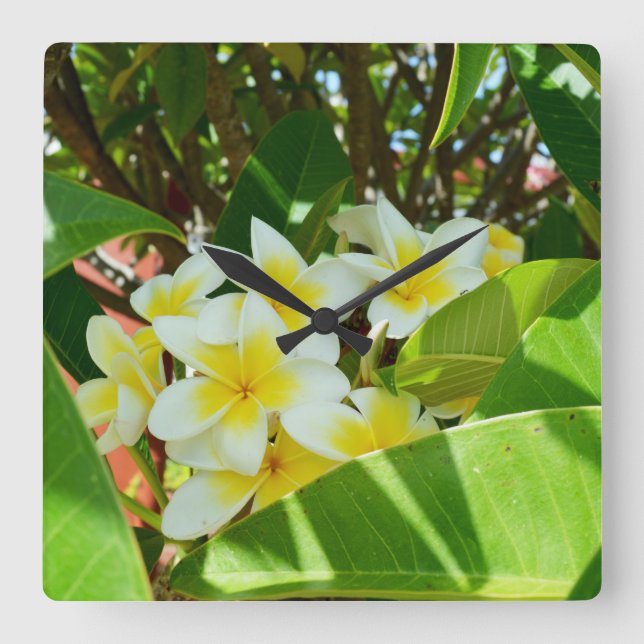 Reloj Cuadrado Árbol Frangipani amarillo, (Anverso)