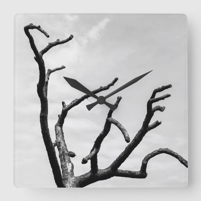 Reloj Cuadrado árbol libre (Anverso)