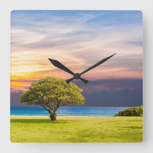 Reloj Cuadrado Árbol solitario
