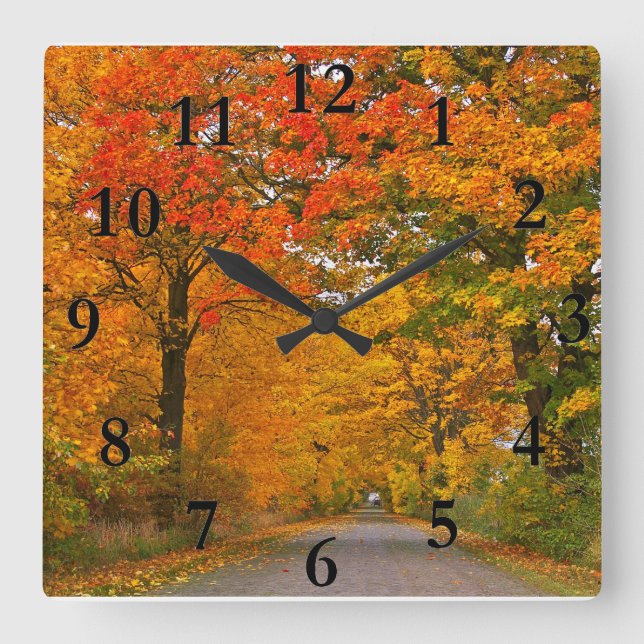Reloj Cuadrado Árboles coloridos del otoño (Anverso)