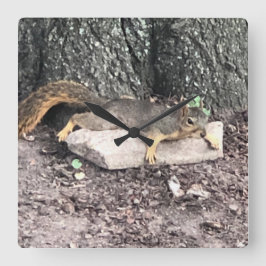 Reloj Cuadrado Ardilla