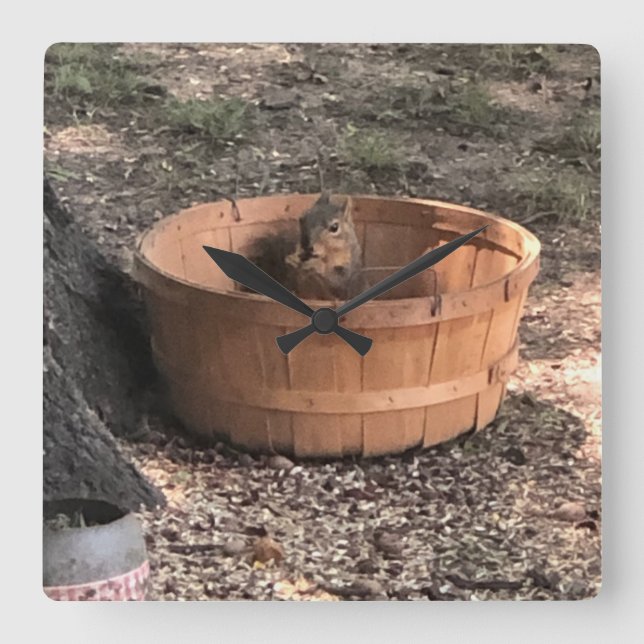 Reloj Cuadrado Ardilla (Anverso)