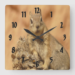 Reloj Cuadrado Ardilla dorada