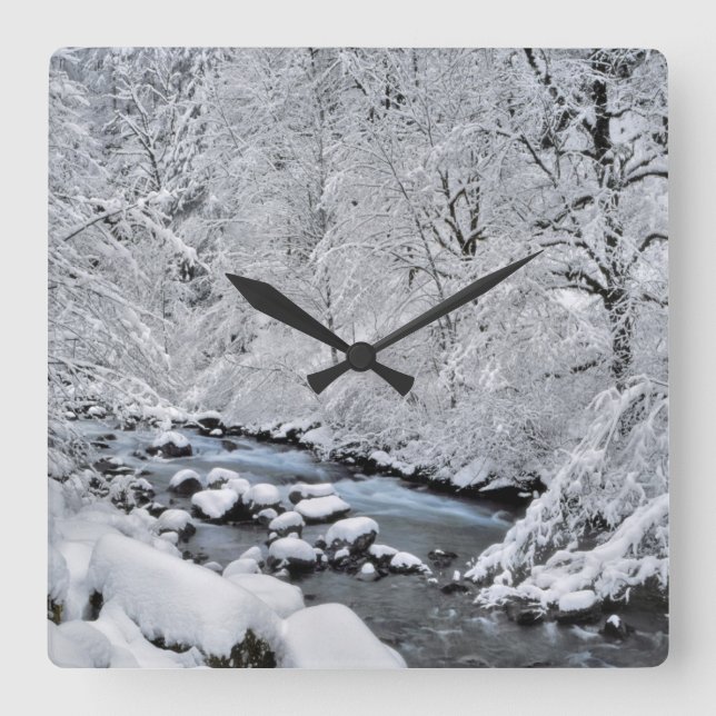 Reloj Cuadrado Arroyo blanco nevado escénico, Oregón (Anverso)