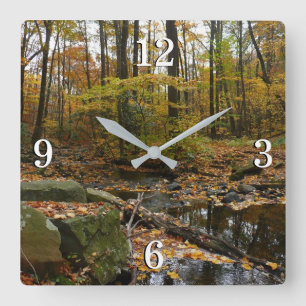 Reloj Cuadrado Arroyo Fall con reflejo en el parque Laurel Hill