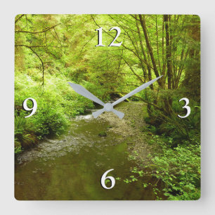Reloj Cuadrado Arroyo Lost Man I en el Parque Nacional Redwood