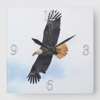 Reloj Cuadrado Arte altísimo de la foto de Eagle calvo Wildife