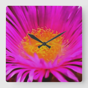 Reloj Cuadrado Arte artístico de flores de aster rosa magenta