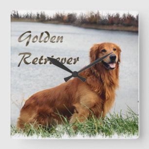 Reloj Cuadrado Arte de Golden Retriever