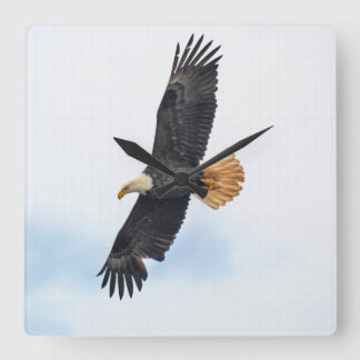 Reloj Cuadrado Arte fotográfico del águila calva salvaje