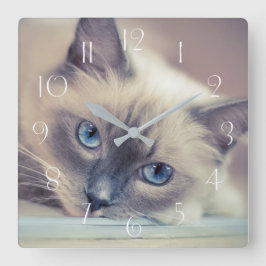 Reloj Cuadrado Asombroso muñeco rojo con ojos azules  gato