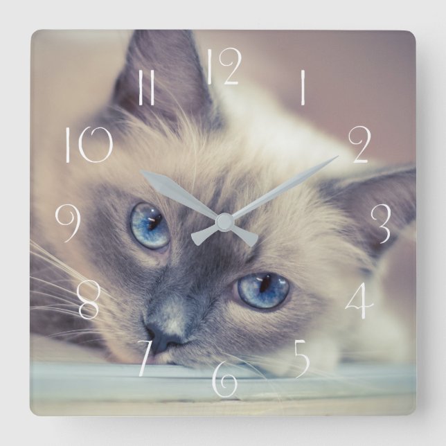 Reloj Cuadrado Asombroso muñeco rojo con ojos azules ‎ gato (Anverso)
