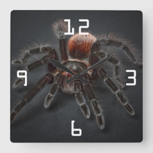 Reloj Cuadrado Atraviesa araña tarántula Aracnofobia