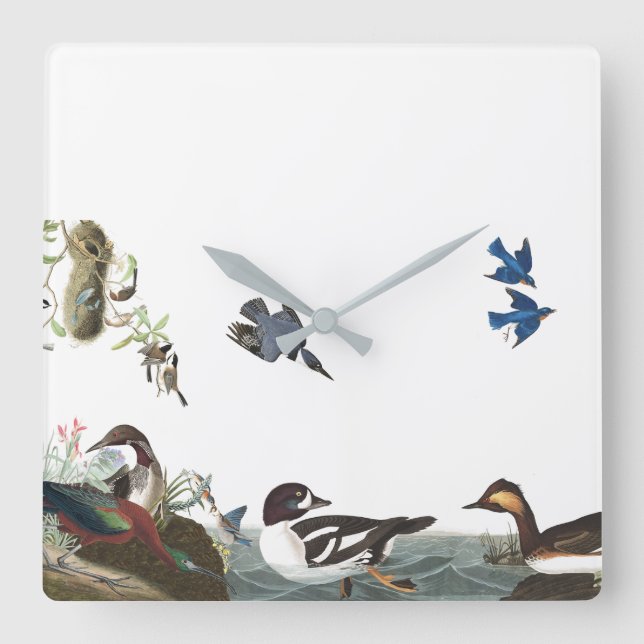 Reloj Cuadrado Audubon Birds Wildlife Animals Collage Wall Clock (Anverso)