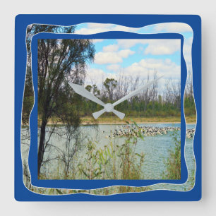Reloj Cuadrado Australia Pelican Flock River Murray,