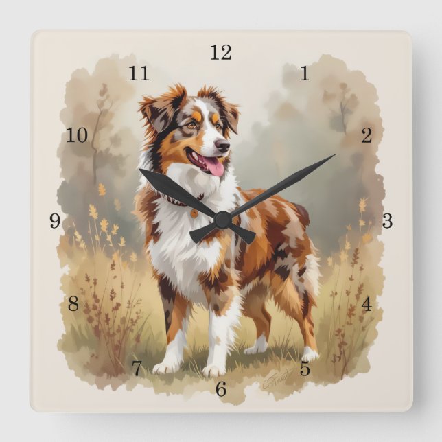 Reloj Cuadrado Australian Shepherd Dog Red Merle Aussie (Anverso)