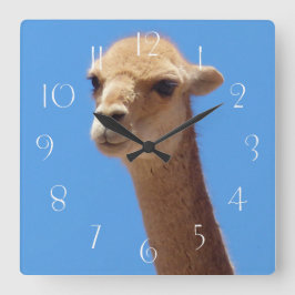 Reloj Cuadrado autorretrato de Vicuña sobre fondo azul
