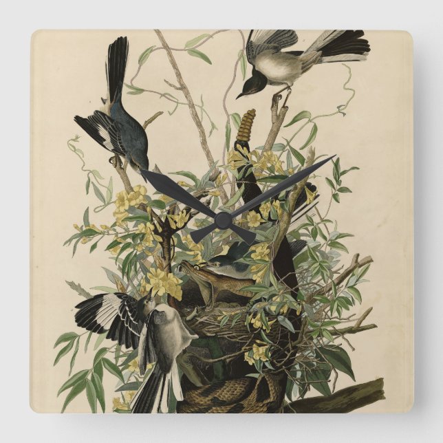 Reloj Cuadrado Ave que se burla del norte, pájaros de América de  (Anverso)