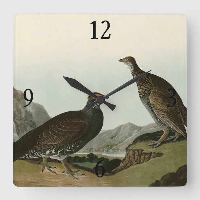 Reloj Cuadrado Aves Audubónicas de América Dusky Grous (como el a (Anverso)