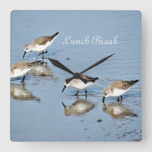 Reloj Cuadrado Aves comiendo "descanso para el almuerzo"