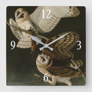 Reloj Cuadrado Aves de América de Adulto Búho (Tyto Alba)