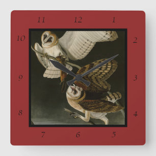 Reloj Cuadrado Aves de América de Adulto Búho (Tyto Alba)