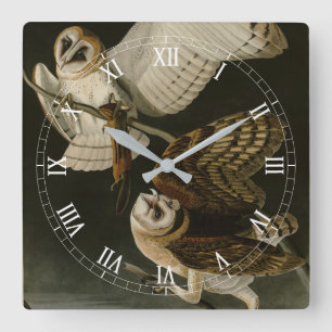 Reloj Cuadrado Aves de América de Adulto Búho (Tyto Alba)
