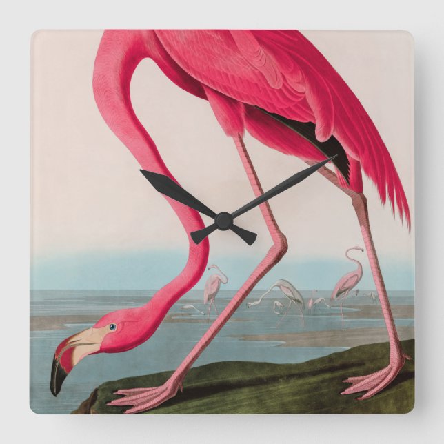 Reloj Cuadrado Aves de flamenco norteamericanas impresas Audubon (Anverso)