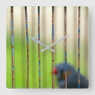 Reloj Cuadrado Aves, jaula, bares