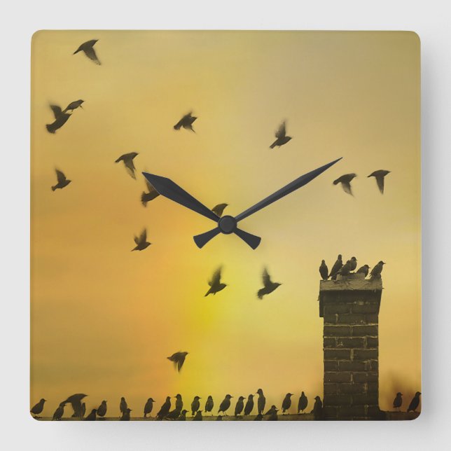 Reloj Cuadrado Aves pequeñas y extravagantes (Anverso)