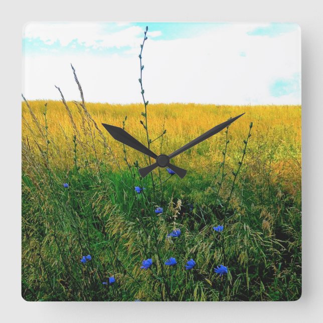 Reloj Cuadrado Azul de Bella - achicoria (Anverso)