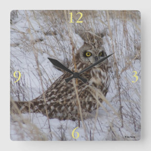 Reloj Cuadrado B11 Lechuza de Orejas Cortas en la Nieve
