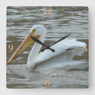 Reloj Cuadrado B14 Pelícano blanco en río lodo