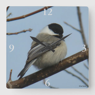 Reloj Cuadrado B21 Pollo con tapa negra