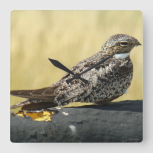 Reloj Cuadrado B29 Common Nighthawk