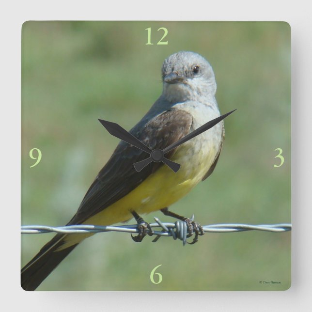 Reloj Cuadrado B32 Western Kingbird (Anverso)
