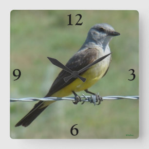 Reloj Cuadrado B44 Western Kingbird