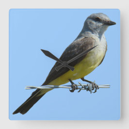 Reloj Cuadrado B45 Western Kingbird